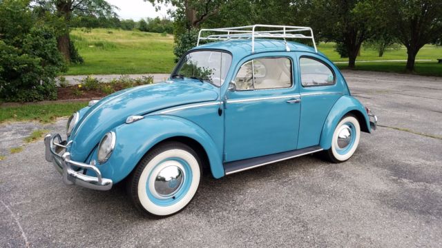 1963 Gulf Blue Beetle